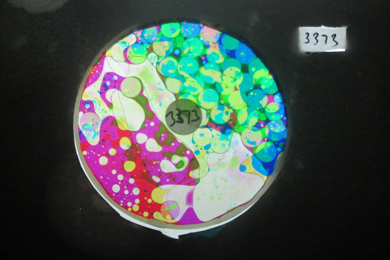 BV3373 bubble vision oil wheel